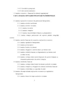 Analiza Situației Financiar Patrimoniale la SC Termoficare SA Petroșani - Pagina 3
