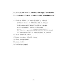 Analiza Situației Financiar Patrimoniale la SC Termoficare SA Petroșani - Pagina 4