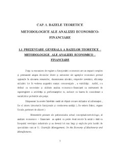 Analiza Situației Financiar Patrimoniale la SC Termoficare SA Petroșani - Pagina 5