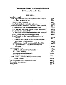 Analiza eficienței economice la nivelul SC Grand Amarilis SA - Pagina 1