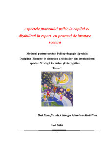 Aspectele procesului psihic la copilul cu dizabilități în raport cu procesul de învățare școlară - Pagina 1