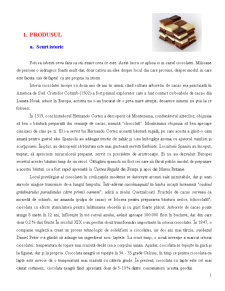 Analiza pieței ciocolatei - Pagina 1