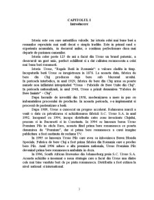 Studiu de Caz: Berea Ursus Premium - Pagina 3