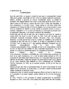 Studiu de Caz: Berea Ursus Premium - Pagina 4