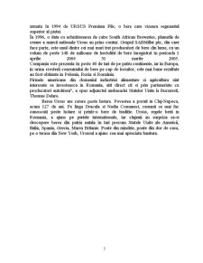 Studiu de Caz: Berea Ursus Premium - Pagina 5
