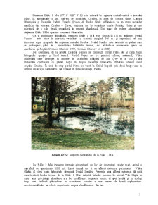 Hrănirea unei populații nehibernante de rana ridibunda din pârâul Pețea în aval de lacul termal de la Băile 1 Mai - Pagina 4
