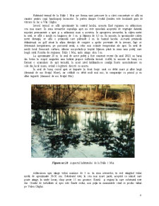 Hrănirea unei populații nehibernante de rana ridibunda din pârâul Pețea în aval de lacul termal de la Băile 1 Mai - Pagina 5