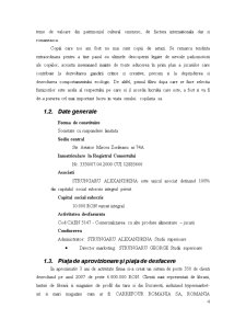 Contabilitatea Imobilizarilor - Pagina 4