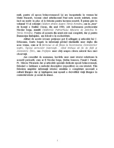 Preocupări Patristice și Postpatristice în Țara Românească în Timpul Domnitorului Constantin Brâncoveanu - Pagina 5