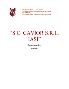 Sc Cavior SRL Iași - lucrare practică - Pagina 1