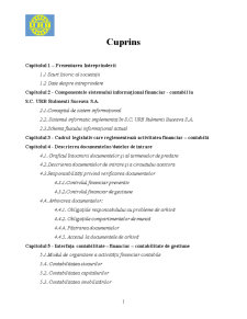 Proiect practică în contabilitate la SC URB Rulmenți Suceava SA - Pagina 1