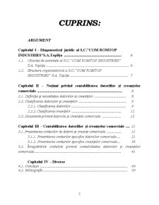 Contabilitatea Creantelor si Datoriilor Salariale - SC COM ROMTOP INDUSTRIES SA Toplita - Pagina 3