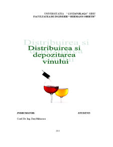 Distribuirea și Depozitarea Vinului - Pagina 1