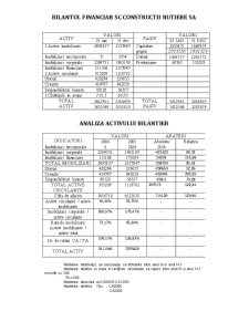 Analiza financiar-economică a întreprinderii SC Construcții Rutiere SA - Pagina 4