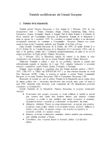 Tratatele Modificatoare ale Uniunii Europene - Pagina 2