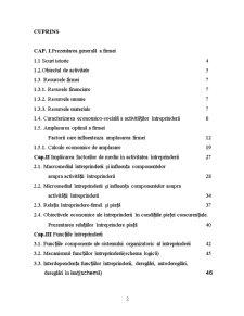Întreprinderea în mediu competitiv - studiu de caz realizat la SC Consil SRL - Pagina 2