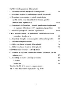 Întreprinderea în mediu competitiv - studiu de caz realizat la SC Consil SRL - Pagina 3