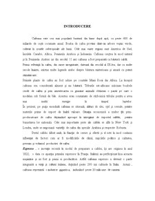 Studiu de Caz- Cafeaua Lavazza - Pagina 2