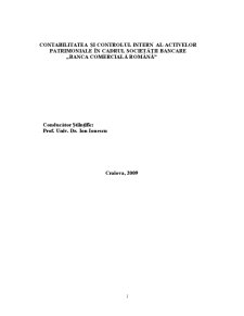 Contabilitatea și Controlul Intern al Activelor Patrimoniale în Cadrul Societății Bancare Banca Comercială Română - Pagina 2