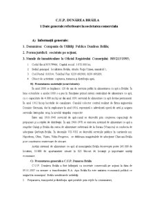 Analiza firmei CUP Dunarea Brăila - Pagina 2