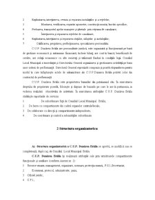 Analiza firmei CUP Dunarea Brăila - Pagina 3