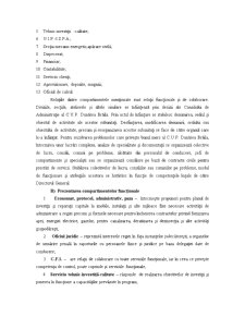 Analiza firmei CUP Dunarea Brăila - Pagina 4