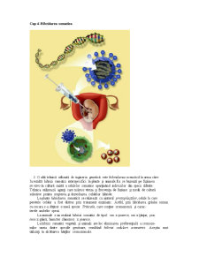 Noțiuni de inginerie genetică - Pagina 4