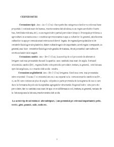 SC Frații Roșca SRL - cultură grâu și rapiță - Pagina 3