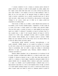 Managementul în America Latina - Pagina 3