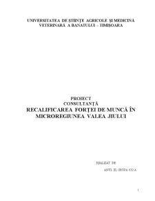 Recalificarea Forței de Muncă în Microregiunea Valea Jiului - Pagina 1