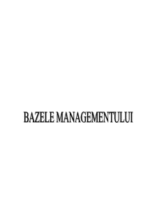 Bazele Managementului - SC Arg Pan SA - Pagina 1