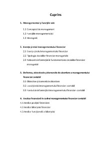Proiect Managementul Financiar Contabil - Pagina 2