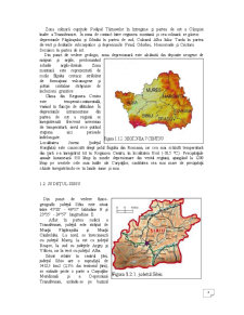 Raport de mediu comparativ între anii 2007-2008 - calitatea aerului în Sibiu - Pagina 4