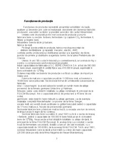 Analiza funcțiunilor întreprinderii la SC Bere Craiova SA - Pagina 3