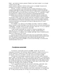 Analiza funcțiunilor întreprinderii la SC Bere Craiova SA - Pagina 5