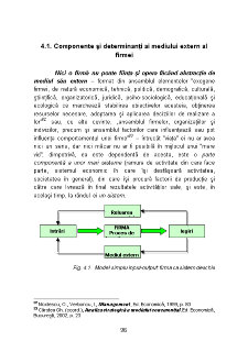 Management Strategic - Pagina 261