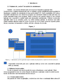 Efectuarea unui Client-Server - Pagina 1