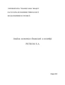 Analiza economico-financiară a societății Petrom SA - Pagina 1