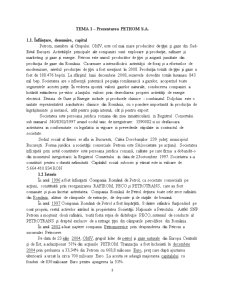 Analiza economico-financiară a societății Petrom SA - Pagina 3