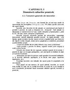 Contribuții la studiul dăunătorilor prunului la SCDP Vâlcea - Pagina 5