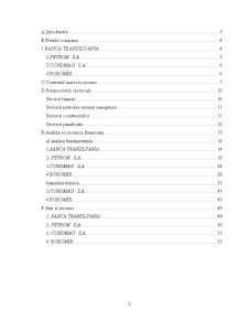 Analiza portofoliului alcătuit din acțiunile societățiilor - Banca Transilvania, Petrom, Condmag, Boromir - Pagina 2
