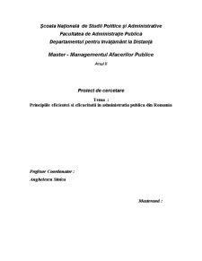 Principiile eficienței și eficacității în administrația publică din România - Pagina 1