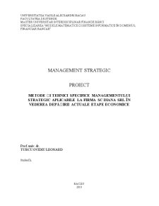 Metode și Tehnici Specifice Managementului Strategic Aplicabile la Firma SC Diana SRL în Vederea Depășirii Actuale Etape Economice - Pagina 2