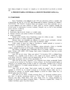 Produse si Servicii Bancare Oferite Persoanelor Fizice de Catre Banca Transilvania SA - Pagina 4