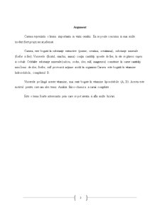 Analiza cărnii congelate - Pagina 3