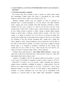 Analiza riscurilor specifice întreprinderilor producătoare din Republica Moldova - Pagina 5