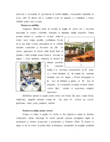 Înființarea unui restaurant - Alexandros - Pagina 5