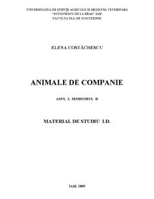 Animale de Companie - Pagina 1