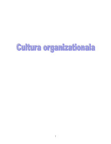 Analiza organizațională - cultura organizațională - Pagina 1