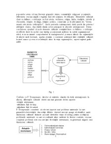 Analiza organizațională - cultura organizațională - Pagina 3